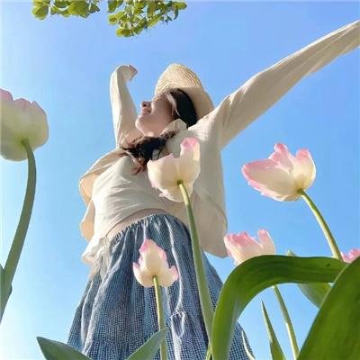 小鸟总动员