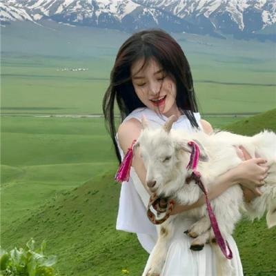 绿发仙子与森林之歌
